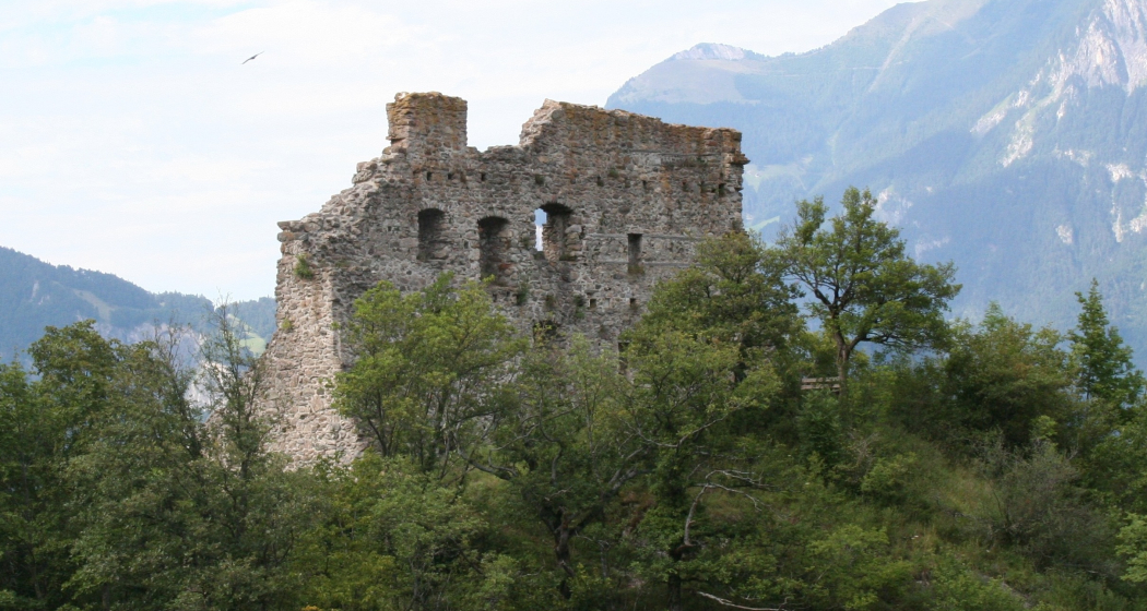 Burgruine Wartenstein Burgruine Wartenstein