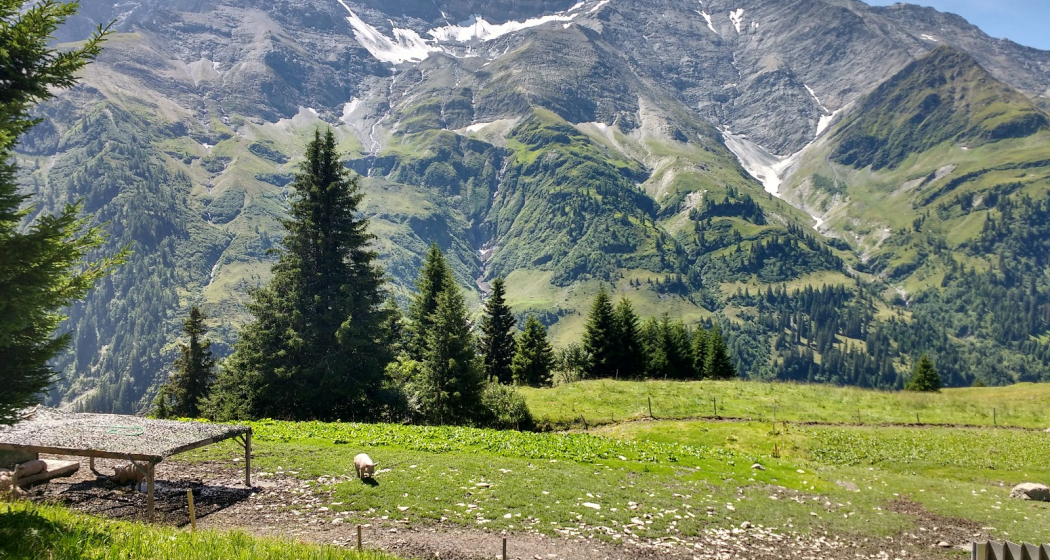 Malanseralp Malanseralp