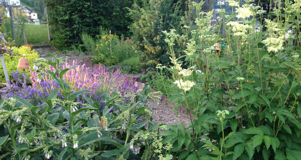Kneippanlage Sargans mit Kräutergarten Kneippanlage Sargans mit Kräutergarten