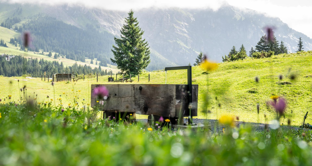 Team Kombination: Laax Murschetg - Runcahöhe - Flims Waldhaus (oua_74866143_image)