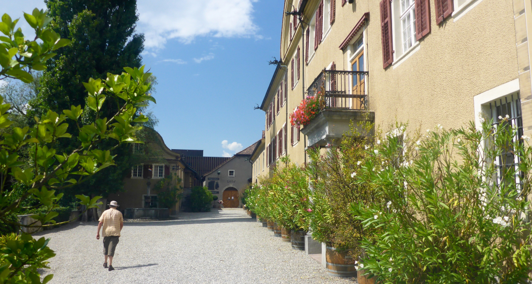 Schloss Salenegg Schloss Salenegg