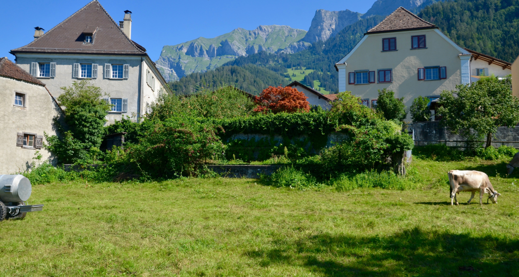 Unteres Sprecherhaus (oua_75247501_image)