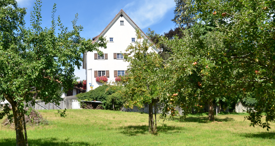 Haus Guler von Wynegg - Haus Wegelin