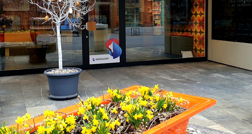 Expert Surselva in Ilanz