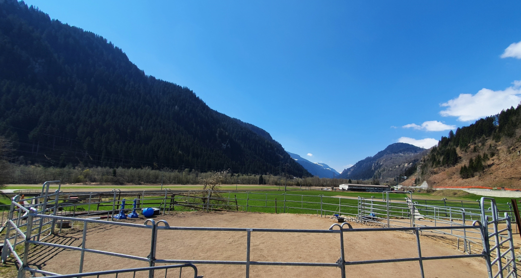 Laufgehege, Sun Ranch in Rueun