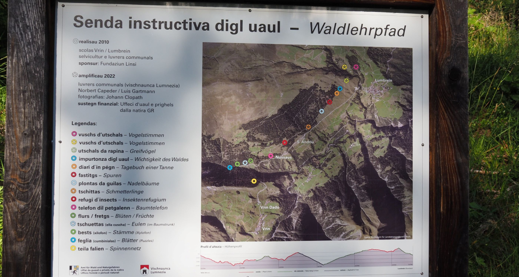 Waldlehrpfad, Übersichtstafel Waldlehrpfad, Übersichtstafel