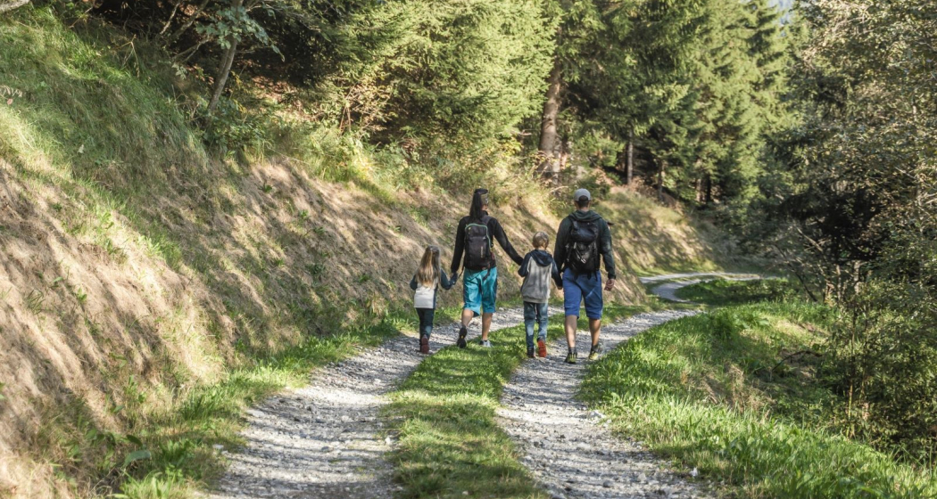 Waldlehrpfad Waldlehrpfad
