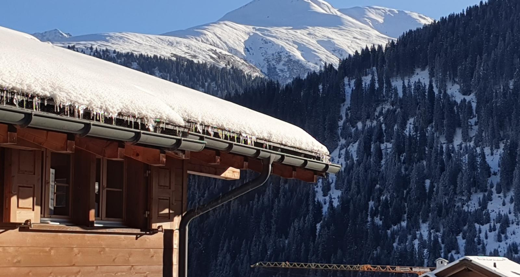 Coeur des Alpes Sedrun - Cuor di Leone (oua_76195591_image)
