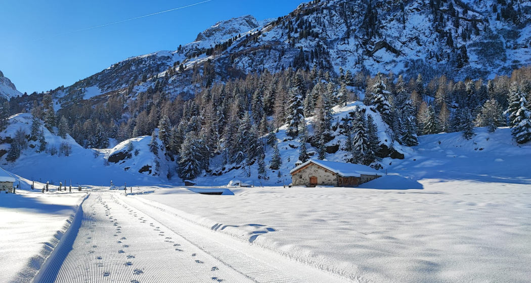 Alp Cavloc Alp Cavloc