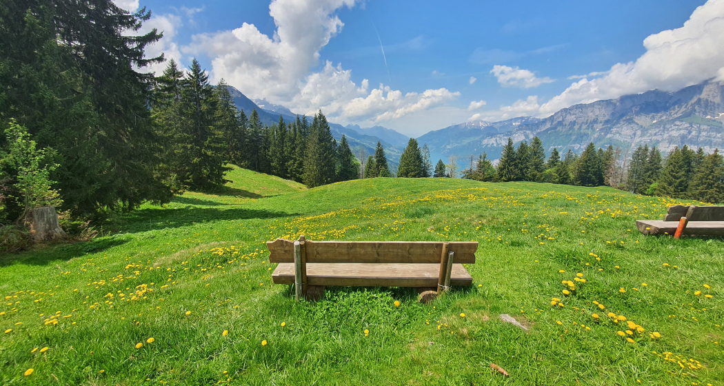 Aussicht Seeblick-Rundweg Aussicht Seeblick-Rundweg