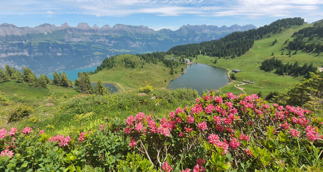 Aussicht Seeben Aussicht Seeben