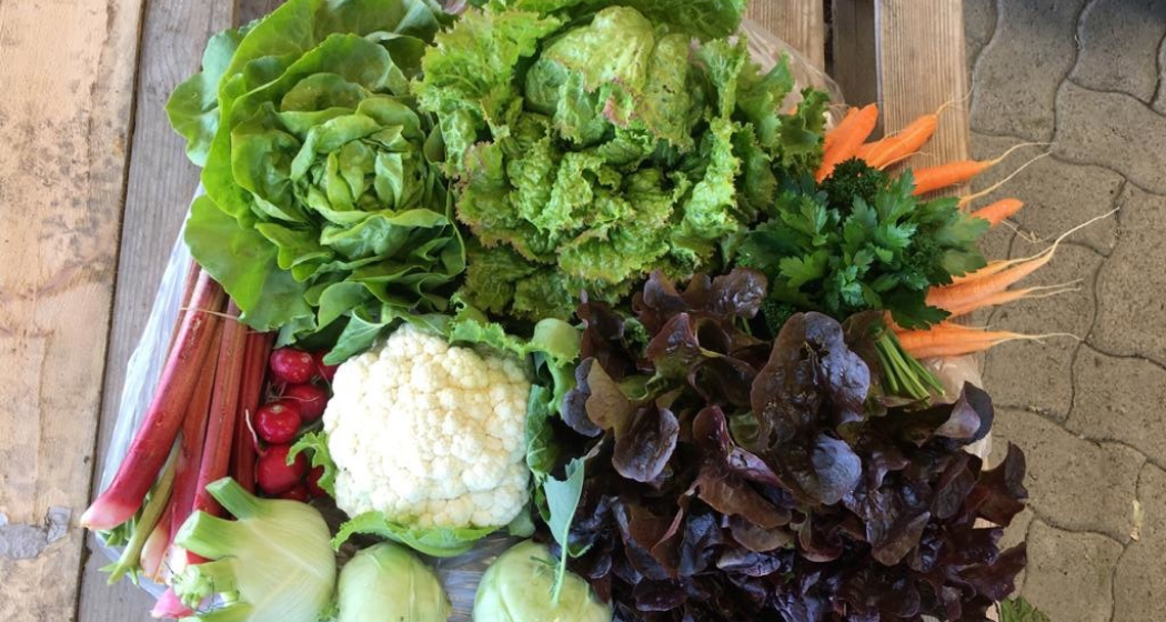 Biohof Solanum, Degen (oua_77637218_image)