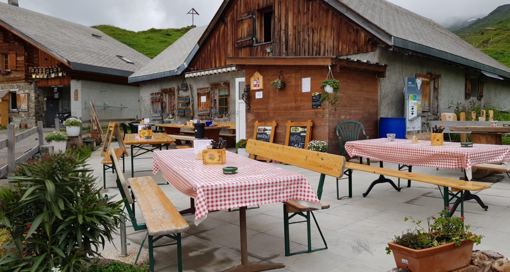Alp Fursch Alp Fursch
