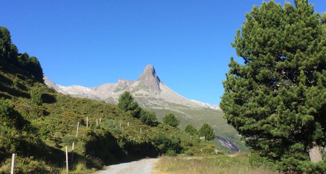 Weg mit Blick aufs Zerfreilahorn Weg mit Blick aufs Zerfreilahorn