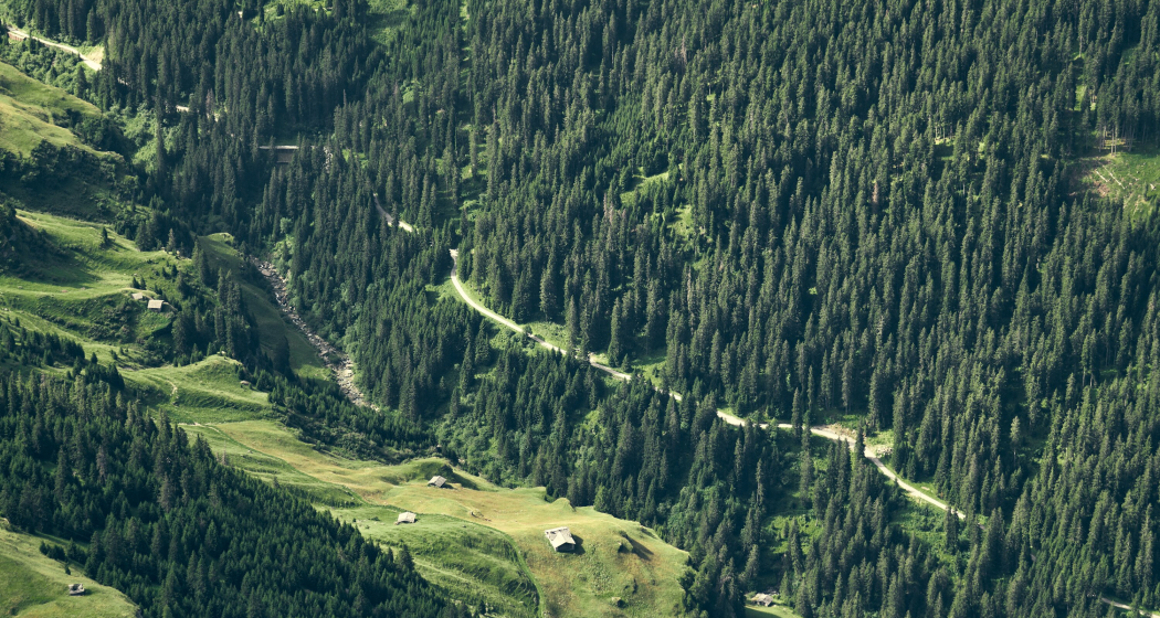 Peilerwald Peilerwald