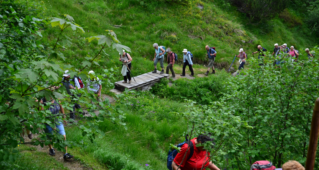 Aufstieg durch die üppige Vegetation Richtung Chamm. Aufstieg durch die üppige Vegetation Richtung Chamm.