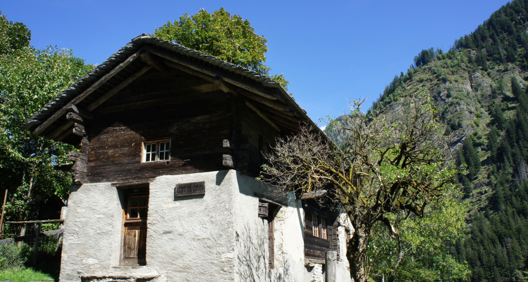 Cà da l'Ava - Fondazione Calanca delle Esploratrici (oua_78888909_image)