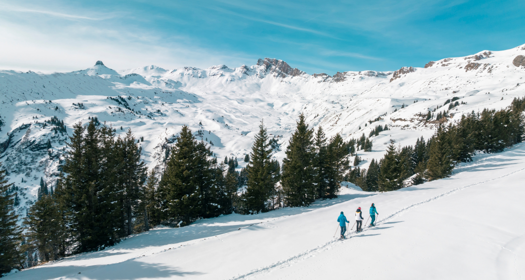 Schneeschuhtrail Plattis mit Aussicht auf den Spitzmeilen