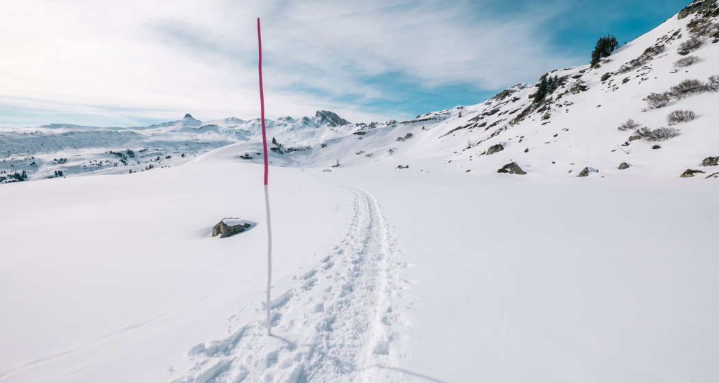 Schneeschuhtrail Plattis