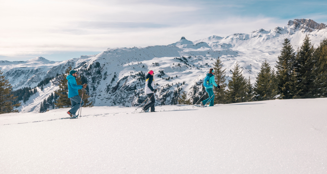 Schneeschuhtrail Plattis