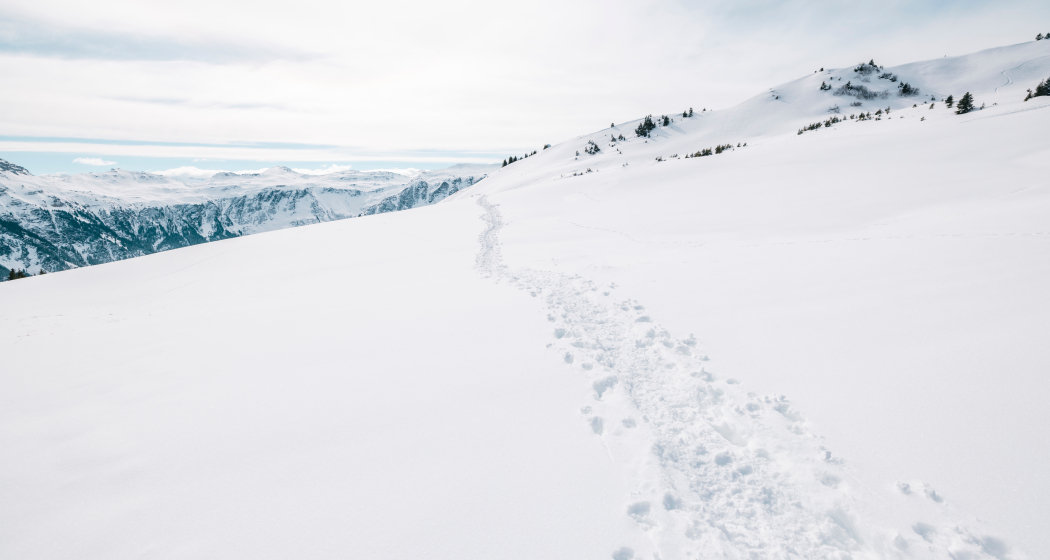 Schneeschuhtrail Panüöl -Prodalp Schneeschuhtrail Panüöl -Prodalp