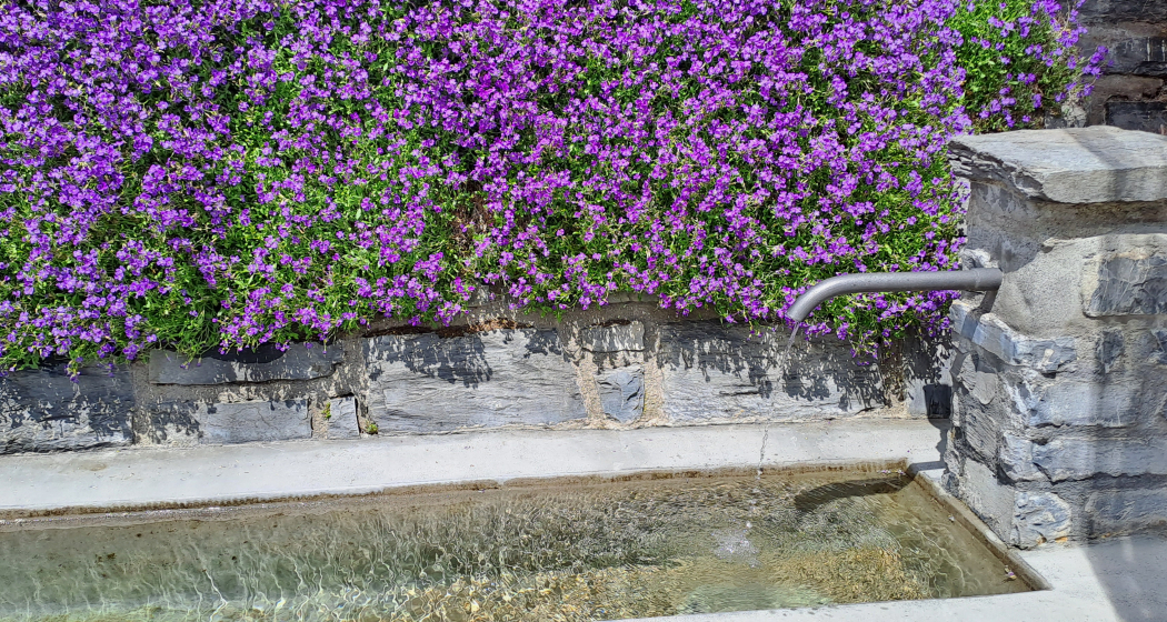 Wasserbrunnen Via Vitg Sura Flims Dorf (oua_79181789_image) Wasserbrunnen Via Vitg Sura Flims Dorf (oua_79181789_image)