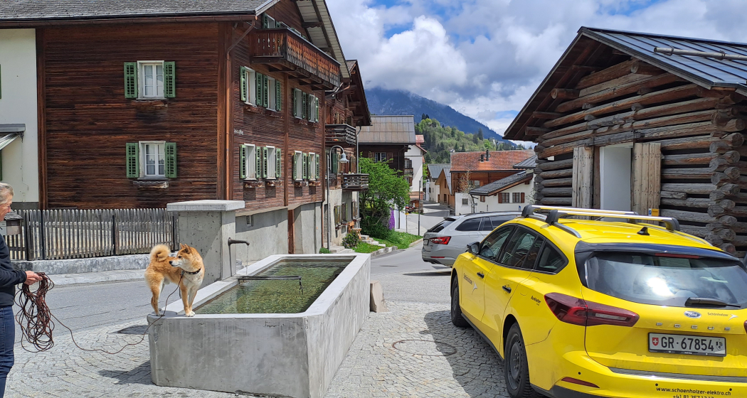 Wasserbrunnen Vitg Pign Flims Dorf (oua_79181794_image) Wasserbrunnen Vitg Pign Flims Dorf (oua_79181794_image)
