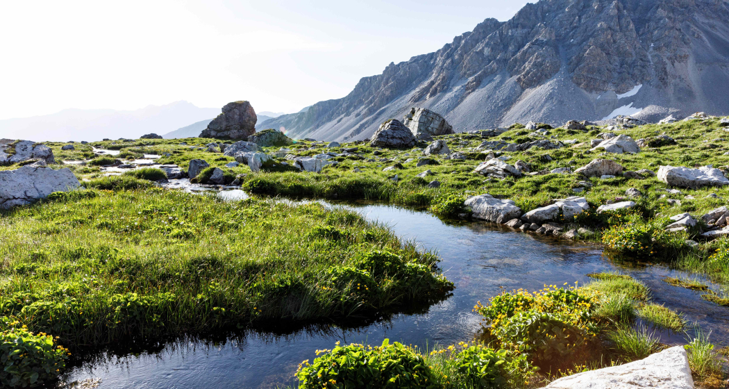 Alp Anarosa Alp Anarosa