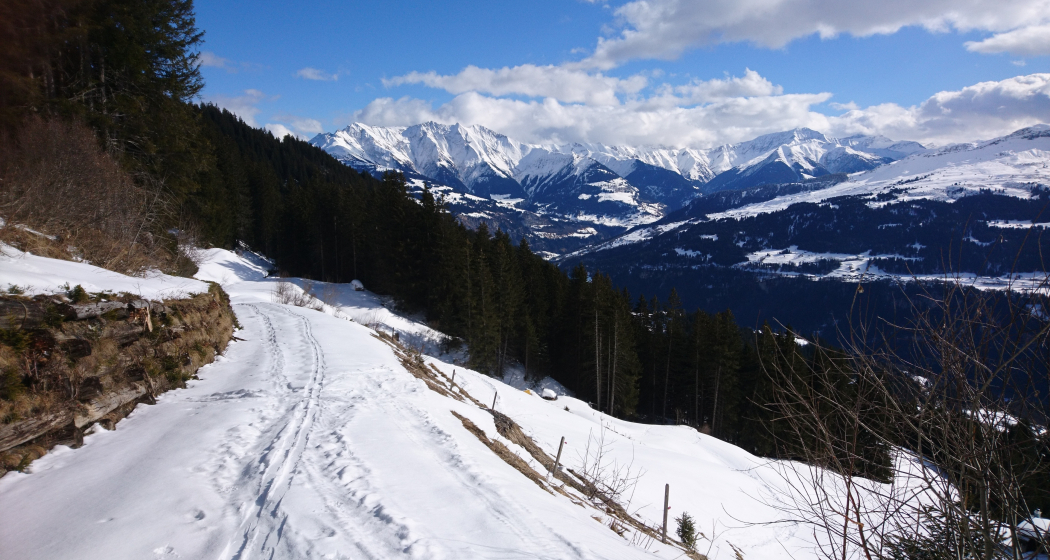 Schneeschuhwandern Siat (oua_79535786_image)
