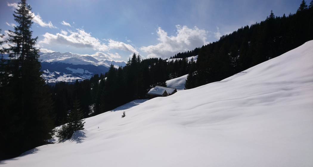 Schneeschuhwandern Siat (oua_79535788_image)