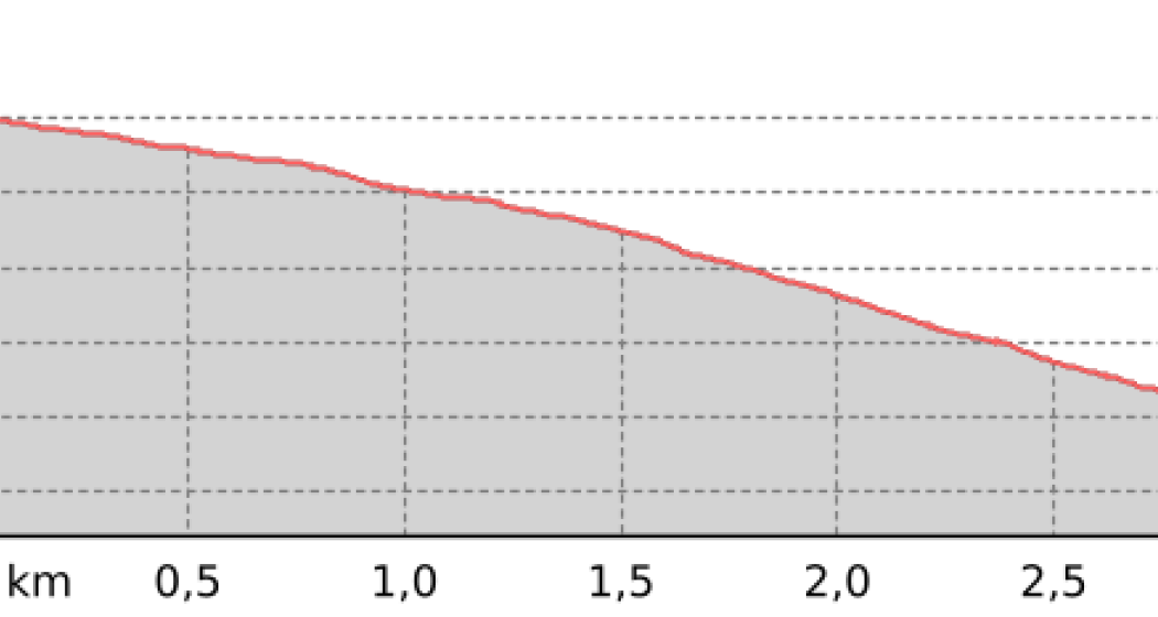 Scaletta Trail (oua_800248643_4f42e67_profile)