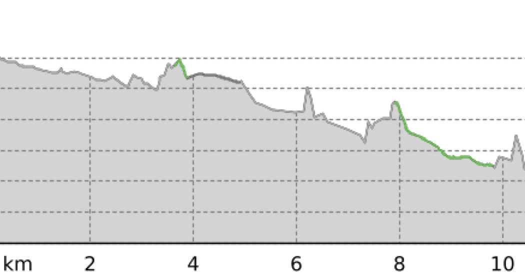 Zernez-Susch-Lavin-Giarsun (oua_801058587_22530b4_profile) Zernez-Susch-Lavin-Giarsun (oua_801058587_22530b4_profile)