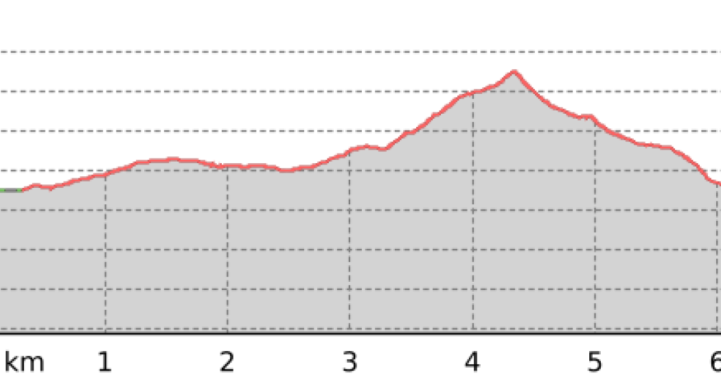 Chörbschhorn #646 (oua_801081694_50fb211_profile)