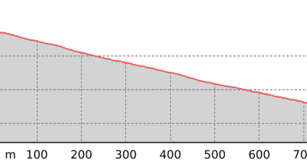 Chörbschhorn - Stafelalp Reshape #646 (oua_801114968_4f924d7_profile) Chörbschhorn - Stafelalp Reshape #646 (oua_801114968_4f924d7_profile)