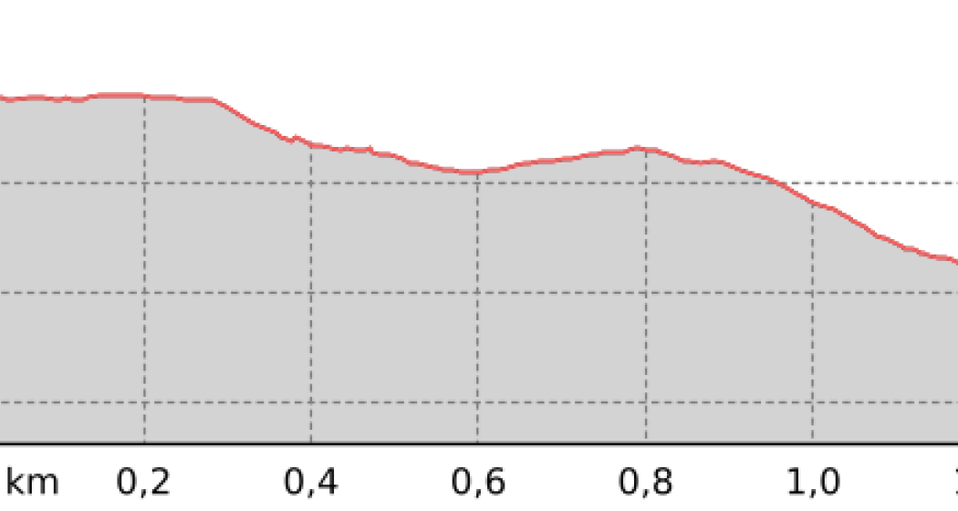 Grüenbödeli - Selfranga (oua_801131366_c0e5d04_profile) Grüenbödeli - Selfranga (oua_801131366_c0e5d04_profile)