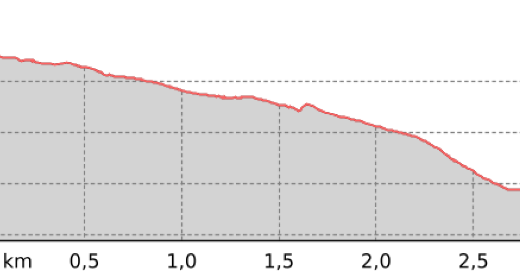 Alps Epic Trail: Monstein - Wiesen Station (oua_801182282_1547364_profile) Alps Epic Trail: Monstein - Wiesen Station (oua_801182282_1547364_profile)