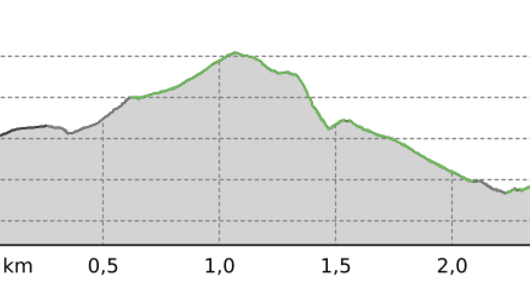 Bergün - Cresta Gronda - Brücke Ara - Buel - Bergün (oua_801211518_504c464_profile) Bergün - Cresta Gronda - Brücke Ara - Buel - Bergün (oua_801211518_504c464_profile)