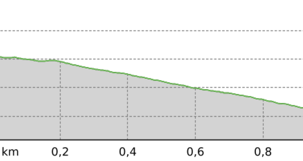Obersäss - Erezsäss Trail (Sektion 1) (oua_801282462_c92b686_profile) Obersäss - Erezsäss Trail (Sektion 1) (oua_801282462_c92b686_profile)