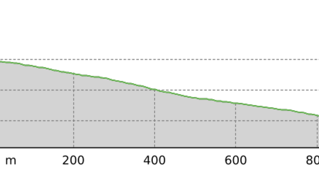 Obersäss - Erezsäss Trail (Sektion 2) (oua_801301278_eb87874_profile)