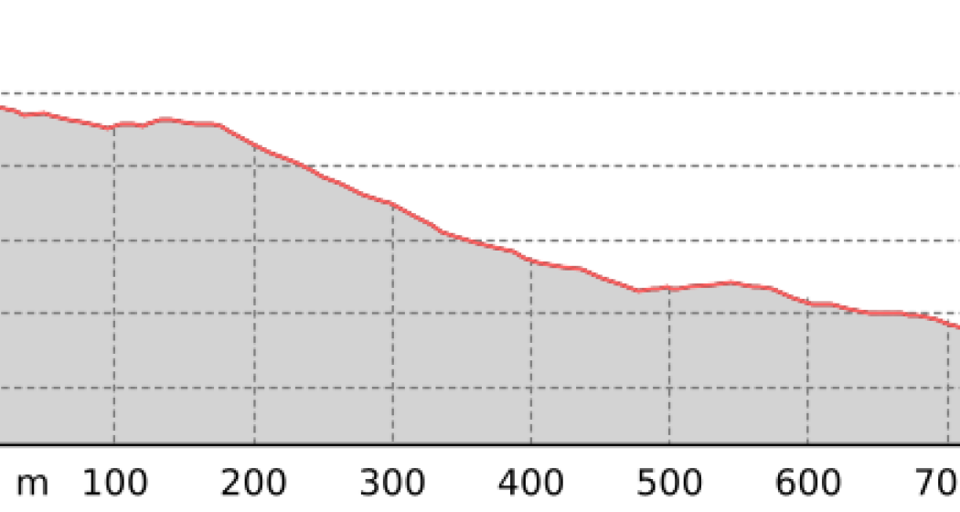 Obersäss - Erezsäss Trail (Sektion 3) (oua_801301336_bf990bd_profile)