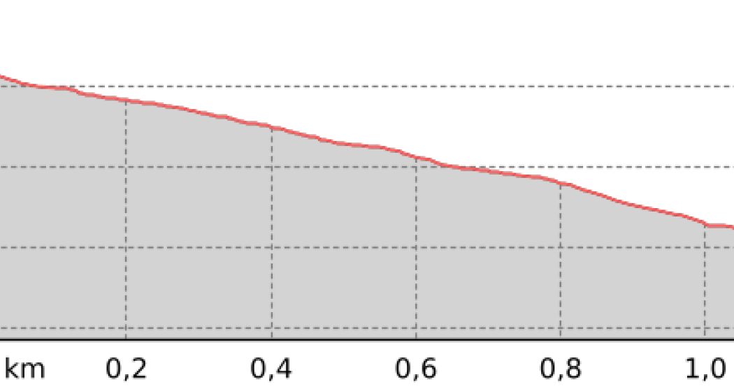 Steinschlagwald - Chaltboden (oua_801343413_3584963_profile) Steinschlagwald - Chaltboden (oua_801343413_3584963_profile)