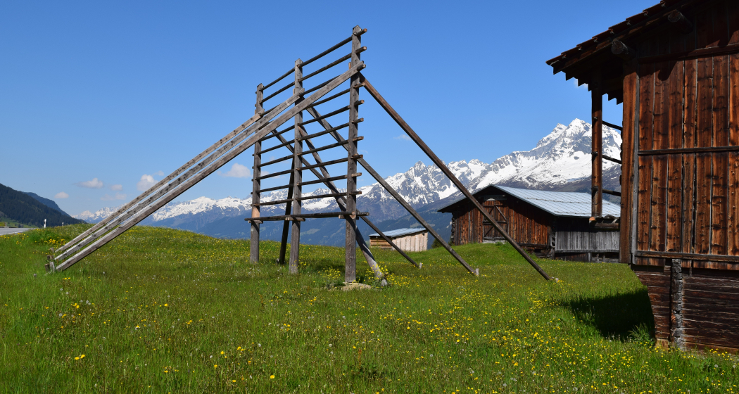 Detektiv Gemschi in Obersaxen Mundaun (oua_80267113_image)