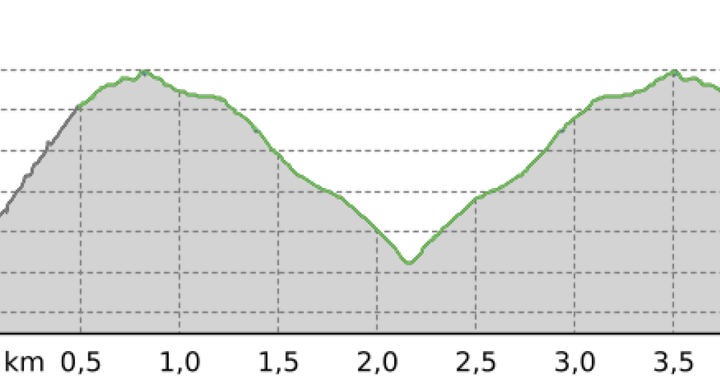Winterwanderweg Sur - Scalotta - Sur (oua_803750905_6e29025_profile) Winterwanderweg Sur - Scalotta - Sur (oua_803750905_6e29025_profile)