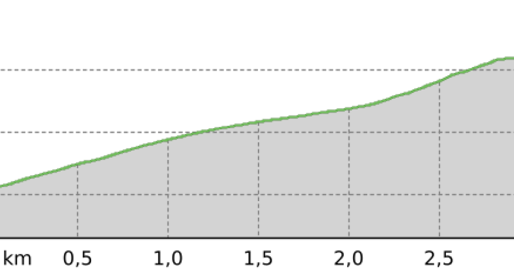 Loipe Tinizong - Rona (oua_803876478_89f1ed4_profile) Loipe Tinizong - Rona (oua_803876478_89f1ed4_profile)