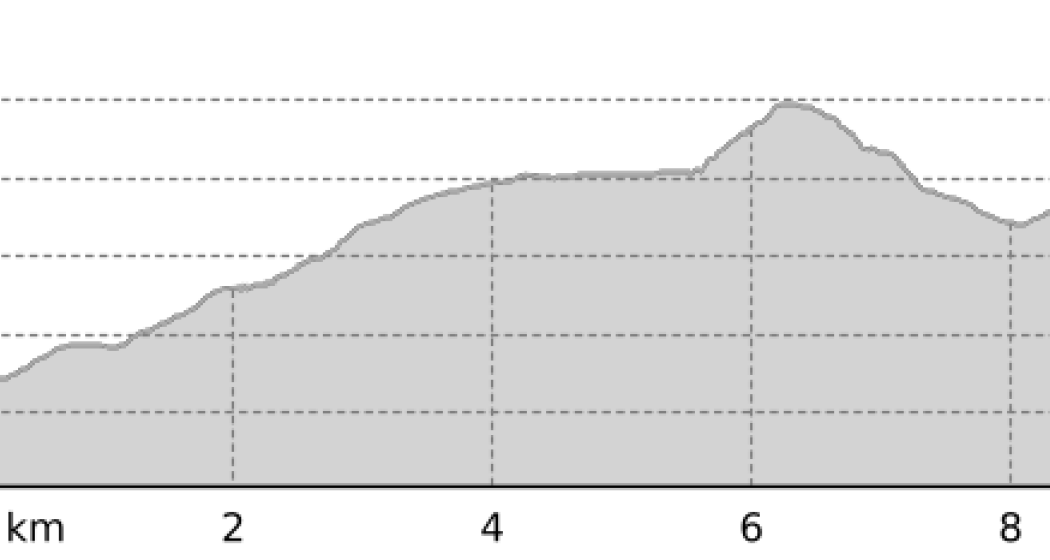 Spendenlauf Arosa Bärenland Lang (oua_804572150_a11a192_profile)