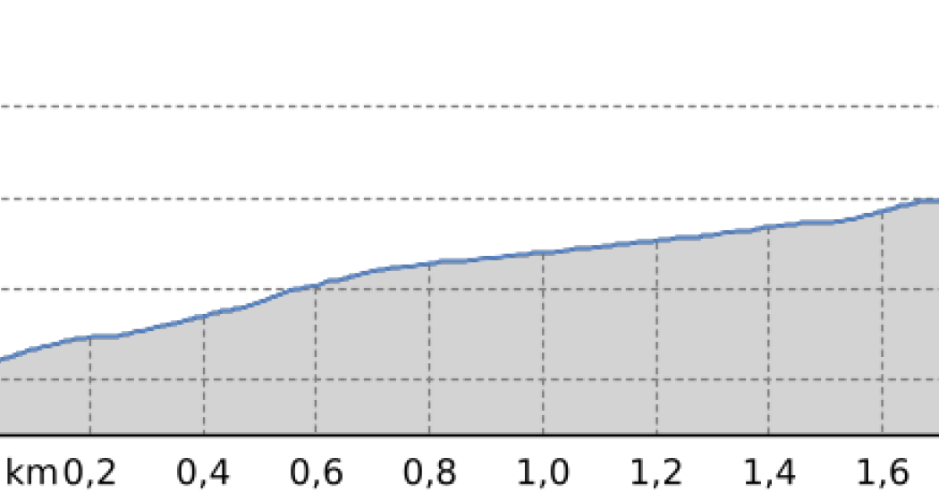 Run for Bears - Spendenlauf Arosa Bärenland 2025 kurz & Kinder (oua_804572158_bc9a242_profile)