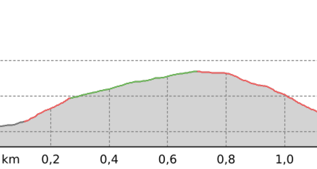 Waldgalerie La Punt Chamues-ch (SmarTrail) (oua_805778488_e31c7e8_profile) Waldgalerie La Punt Chamues-ch (SmarTrail) (oua_805778488_e31c7e8_profile)