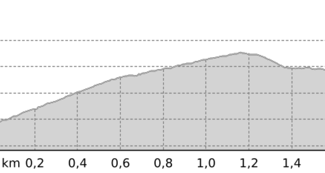 Fine Stone Pine (oua_807601535_10e2116_profile) Fine Stone Pine (oua_807601535_10e2116_profile)