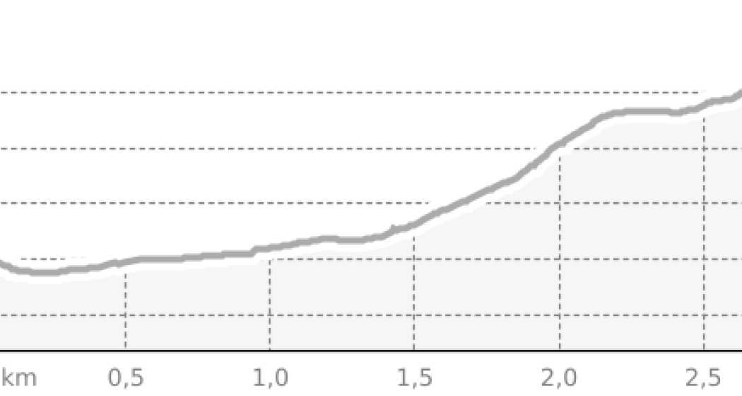 Tannenboden - Prodalp (oua_808372465_0586154_profile)