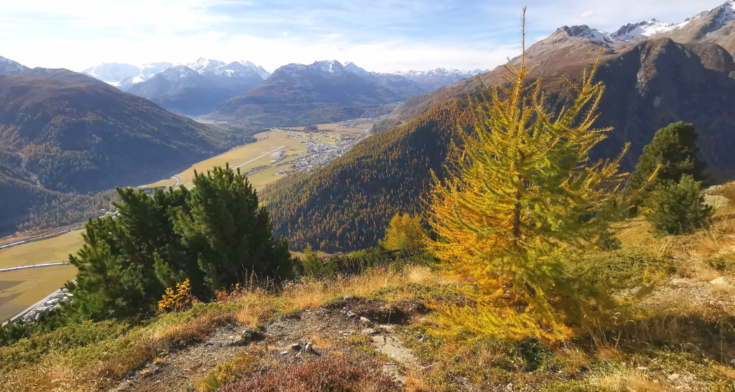 Crasta Mora Crasta Mora